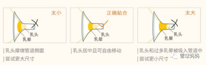 美德乐、小白熊、新安怡，spectra，各大吸奶器到底选哪个？