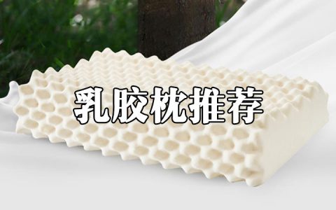 2021年性价比高的乳胶枕推荐