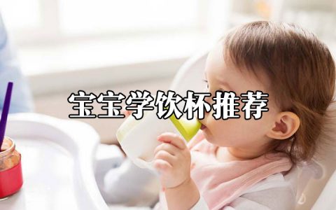 2021年性价比高的宝宝学饮杯推荐