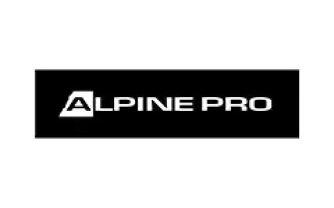 阿尔派妮/alpine pro